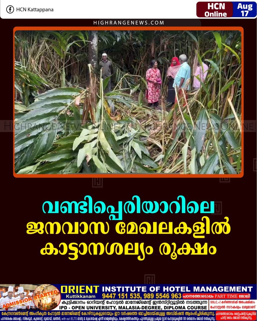 വണ്ടിപ്പെരിയാറിലെ ജനവാസ മേഖലകളില്‍ കാട്ടാനശല്യം രൂക്ഷം 