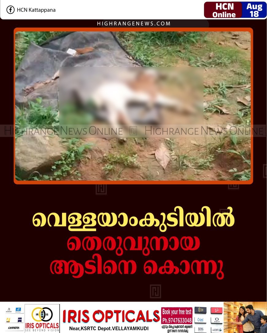 വെള്ളയാംകുടിയില്‍ തെരുവുനായ ആടിനെ കൊന്നു