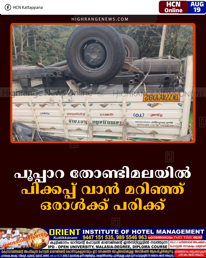 പൂപ്പാറ തോണ്ടിമലയില്‍ പിക്കപ്പ് വാന്‍ മറിഞ്ഞ് ഒരാള്‍ക്ക് പരിക്ക് 