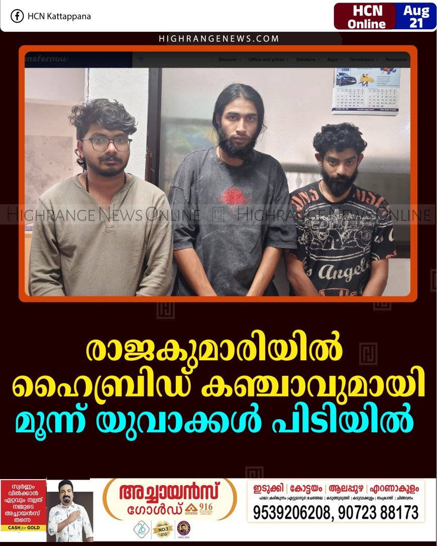 രാജകുമാരിയില്‍ ഹൈബ്രിഡ് കഞ്ചാവുമായി മൂന്ന് യുവാക്കള്‍ പിടിയില്‍