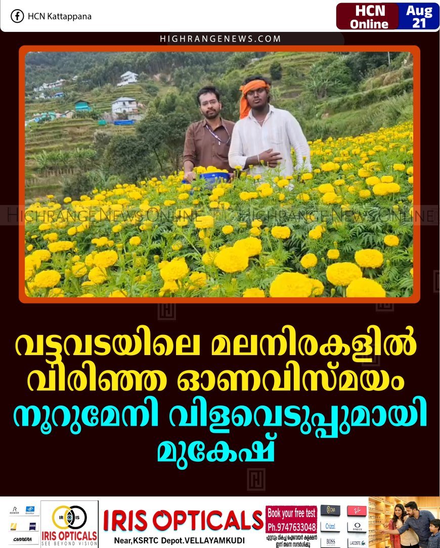 വട്ടവടയിലെ മലനിരകളില്‍ വിരിഞ്ഞ ഓണവിസ്മയം: നൂറുമേനി വിളവെടുപ്പുമായി മുകേഷ്