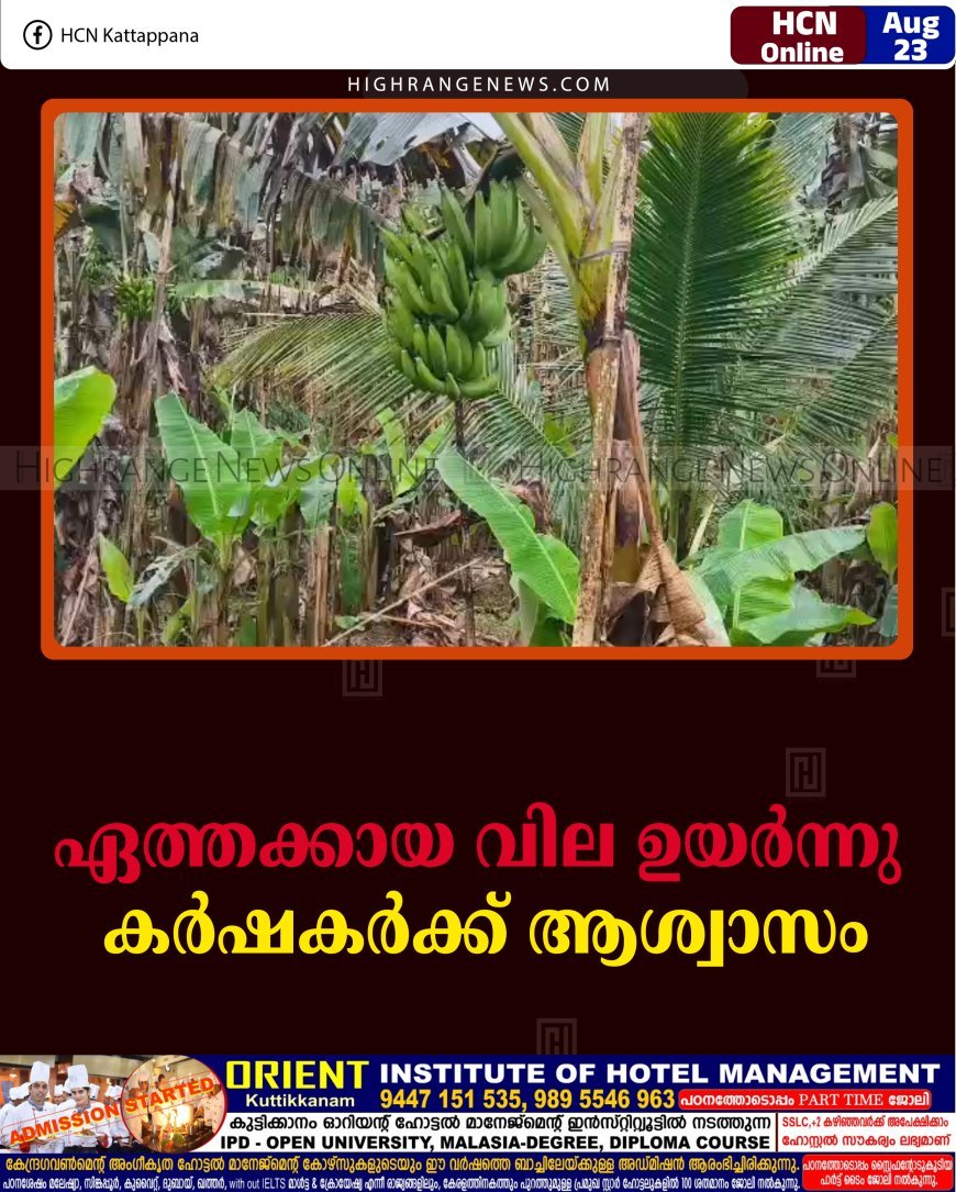 ഏത്തക്കായ വില ഉയര്‍ന്നു: കര്‍ഷകര്‍ക്ക് ആശ്വാസം