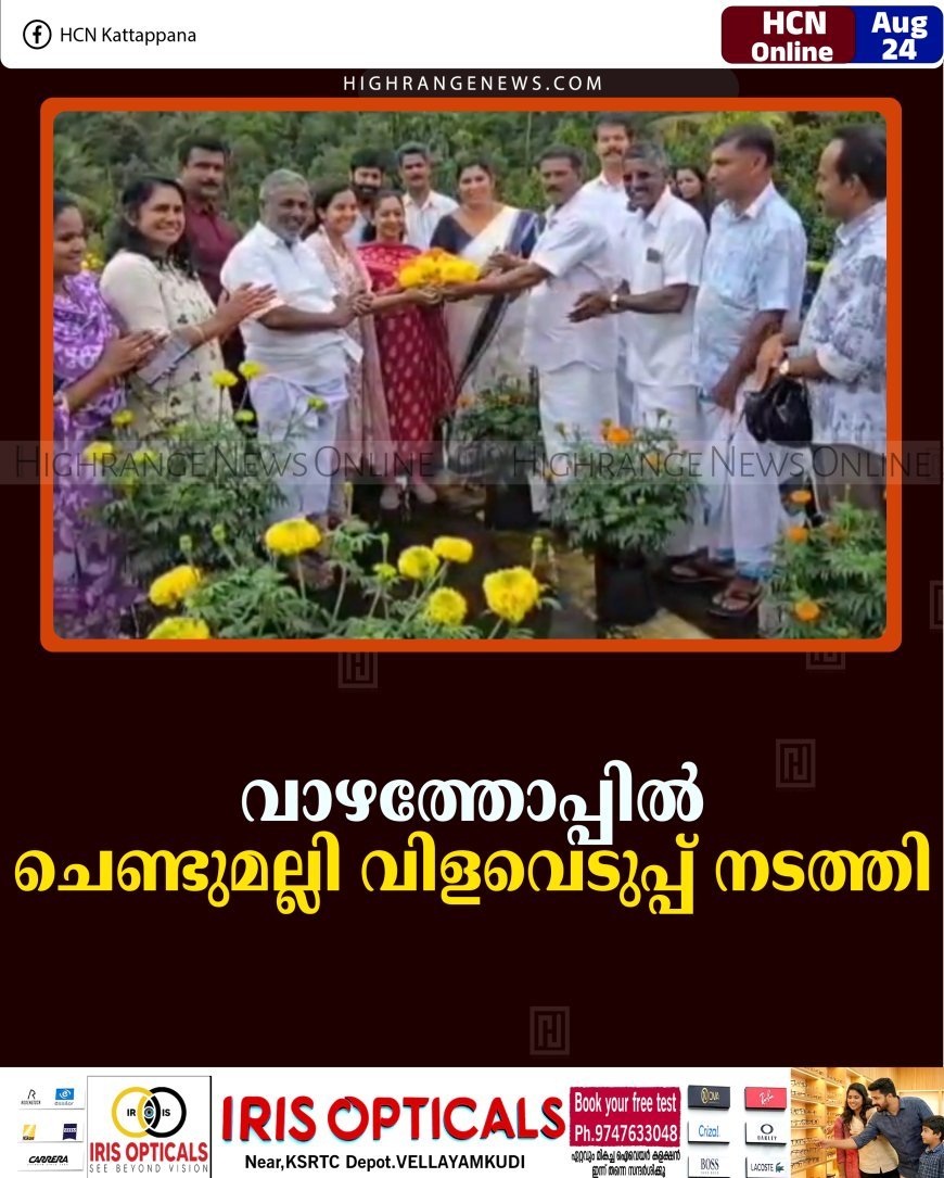 വാഴത്തോപ്പില്‍ ചെണ്ടുമല്ലി വിളവെടുപ്പ് നടത്തി 