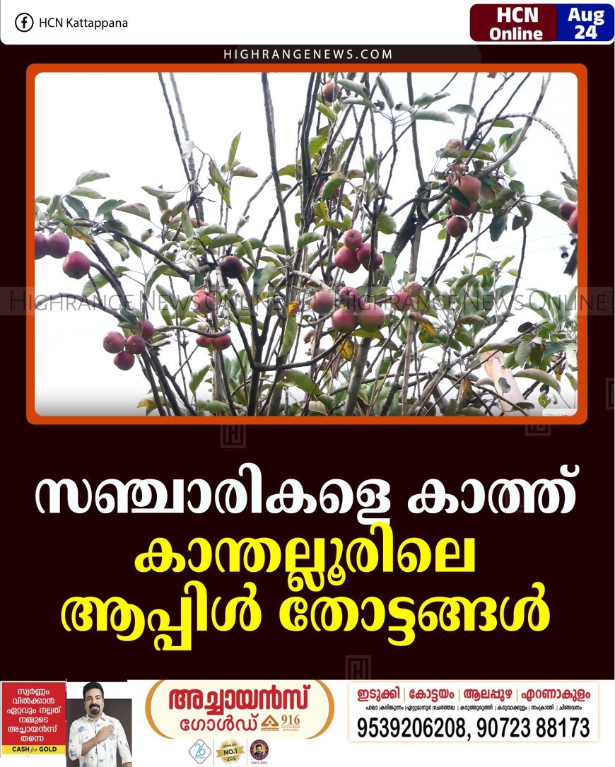 സഞ്ചാരികളെ കാത്ത് കാന്തല്ലൂരിലെ ആപ്പിള്‍ തോട്ടങ്ങള്‍ 