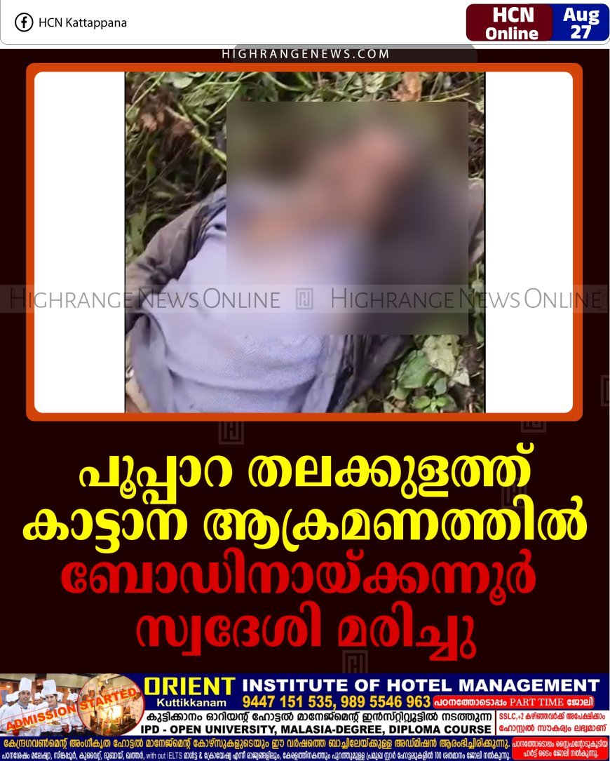 പൂപ്പാറ തലക്കുളത്ത് കാട്ടാന ആക്രമണത്തില്‍ ബോഡിനായ്ക്കന്നൂര്‍ സ്വദേശി മരിച്ചു   