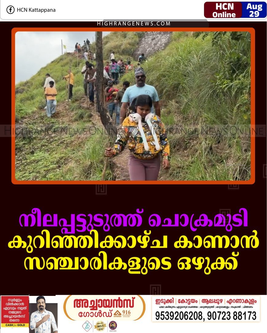 നീലപ്പട്ടുടുത്ത് ചൊക്രമുടി: കുറിഞ്ഞിക്കാഴ്ച കാണാന്‍ സഞ്ചാരികളുടെ ഒഴുക്ക്