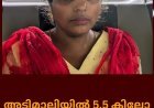 അടിമാലിയിൽ 5.5 കിലോഗ്രാം കഞ്ചാവുമായി യുവതി പിടിയിൽ