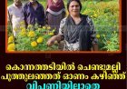 കൊന്നത്തടിയില്‍ ചെണ്ടുമല്ലി പൂത്തുലഞ്ഞത് ഓണം കഴിഞ്ഞ്: വിപണിയില്ലാതെ വീട്ടമ്മമാര്‍ ആശങ്കയില്‍