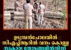 ഉടുമ്പന്‍ചോലയില്‍ സിഎച്ച്ആറില്‍ വനം കൊള്ള: സ്വകാര്യ തോട്ടങ്ങളില്‍നിന്ന് മരങ്ങള്‍ വെട്ടിക്കടത്തി