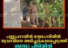 പുല്ലുപാറയില്‍ മദ്യലഹരിയില്‍ യുവാവിനെ അടിച്ചുകൊലപ്പെടുത്തി: ബന്ധു പിടിയില്‍