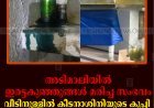 അടിമാലിയില്‍ ഇരട്ടകുഞ്ഞുങ്ങള്‍ മരിച്ച സംഭവം: വീടിനുള്ളില്‍ കീടനാശിനിയുടെ കുപ്പി ചോര്‍ന്ന നിലയില്‍ കണ്ടെത്തി 