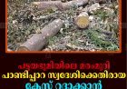 പട്ടയഭൂമിയിലെ മരംമുറി: പാണ്ടിപ്പാറ സ്വദേശിക്കെതിരായ കേസ് റദ്ദാക്കാന്‍ മന്ത്രിയുടെ നിര്‍ദേശം