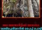 ജല അതോറിറ്റിക്ക് അനാസ്ഥ: വണ്ടിപ്പെരിയാറില്‍ പൈപ്പ് പൊട്ടി കുടിവെള്ളം പാഴാകുന്നു