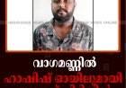 വാഗമണ്ണില്‍ ഹാഷിഷ് ഓയിലുമായി യുവാവ് പിടിയില്‍