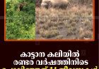 കാട്ടാന കലിയില്‍ രണ്ടര വര്‍ഷത്തിനിടെ പൊലിഞ്ഞത് 14 ജീവനുകള്‍ 