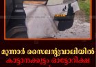 മൂന്നാര്‍ സൈലന്റുവാലിയില്‍ കാട്ടാനക്കൂട്ടം ഓട്ടോറിക്ഷ തകര്‍ത്തു