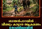 ശാന്തന്‍പാറയില്‍ വീണ്ടും കാട്ടാന ആക്രമണം: തോണ്ടിമലയില്‍ യുവാവിനെ അടിച്ചുവീഴ്ത്തി