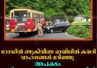 റോഡില്‍ ഒഴുകിവീണ ഓയിലില്‍ കയറി വാഹനങ്ങള്‍ മറിഞ്ഞു: അപകടം കുട്ടിക്കാനം- പെരുവന്താനം റൂട്ടില്‍