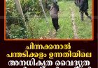 ചിന്നക്കനാല്‍ പന്തടിക്കളം ഉന്നതിയിലെ അനധികൃത വൈദ്യുത വേലികള്‍ മുറിച്ചുനീക്കി 