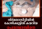 നിര്‍മലാസിറ്റിയില്‍ കോഴിക്കൂട്ടില്‍ കയറിയ പെരുമ്പാമ്പിനെ പിടികൂടി