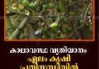 കാലാവസ്ഥ വ്യതിയാനം:  ഏലം കൃഷി പ്രതിസന്ധിയില്‍ 