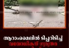 ആറാംമൈലില്‍ ടിപ്പറിടിച്ച് വയോധികന് ഗുരുതര പരിക്ക് 