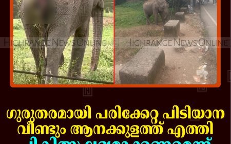 ഗുരുതരമായി പരിക്കേറ്റ പിടിയാന വീണ്ടും ആനക്കുളത്ത് എത്തി: ചികിത്സ ലഭ്യമാക്കണമെന്ന് നാട്ടുകാര്‍ 