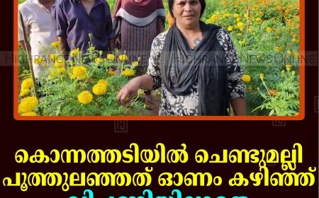കൊന്നത്തടിയില്‍ ചെണ്ടുമല്ലി പൂത്തുലഞ്ഞത് ഓണം കഴിഞ്ഞ്: വിപണിയില്ലാതെ വീട്ടമ്മമാര്‍ ആശങ്കയില്‍