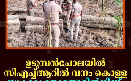 ഉടുമ്പന്‍ചോലയില്‍ സിഎച്ച്ആറില്‍ വനം കൊള്ള: സ്വകാര്യ തോട്ടങ്ങളില്‍നിന്ന് മരങ്ങള്‍ വെട്ടിക്കടത്തി
