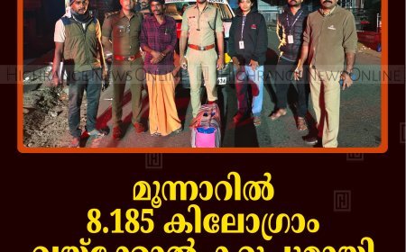 മൂന്നാറില്‍ 8.185 കിലോഗ്രാം വയ്‌ക്കോല്‍ കറുപ്പുമായി യുവാവ് പിടിയില്‍    