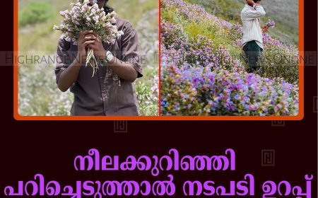 നീലക്കുറിഞ്ഞി പറിച്ചെടുത്താല്‍ നടപടി ഉറപ്പ്: മുന്നറിയിപ്പുമായി വനംവകുപ്പ്