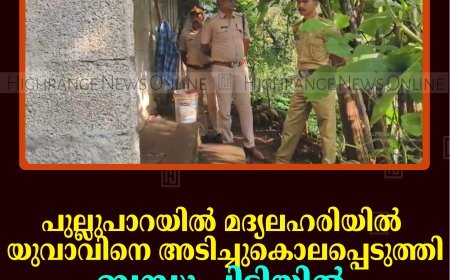 പുല്ലുപാറയില്‍ മദ്യലഹരിയില്‍ യുവാവിനെ അടിച്ചുകൊലപ്പെടുത്തി: ബന്ധു പിടിയില്‍
