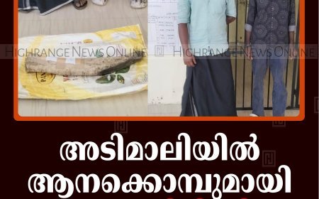 അടിമാലിയില്‍ ആനക്കൊമ്പുമായി 2 പേര്‍ പിടിയില്‍