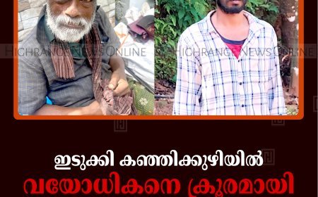 ഇടുക്കി കഞ്ഞിക്കുഴിയില്‍ വയോധികനെ ക്രൂരമായി മര്‍ദിച്ച യുവാവ് അറസ്റ്റില്‍