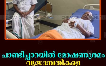 പാണ്ടിപ്പാറയില്‍ മോഷണശ്രമം: വൃദ്ധദമ്പതികളെ അതിഥി തൊഴിലാളി ആക്രമിച്ചു  