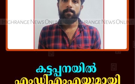 കട്ടപ്പനയില്‍ എംഡിഎംഎയുമായി യുവാവ് പിടിയില്‍