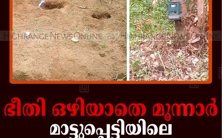 ഭീതി ഒഴിയാതെ മൂന്നാര്‍: മാട്ടുപ്പെട്ടിയിലെ ജനവാസ കേന്ദ്രത്തിലും കടുവയെത്തി