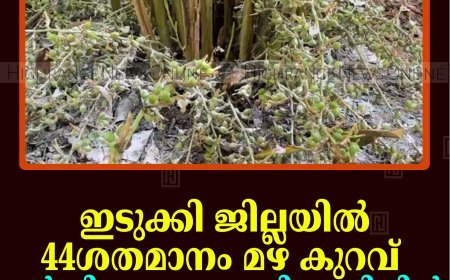 ഇടുക്കി ജില്ലയില്‍ 44ശതമാനം മഴ കുറവ്: കര്‍ഷികമേഖല പ്രതിസന്ധിയില്‍