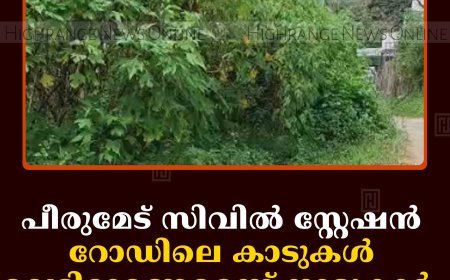പീരുമേട് സിവില്‍ സ്റ്റേഷന്‍ റോഡിലെ കാടുകള്‍ വെട്ടിമാറ്റണമെന്ന് നാട്ടുകാര്‍ 