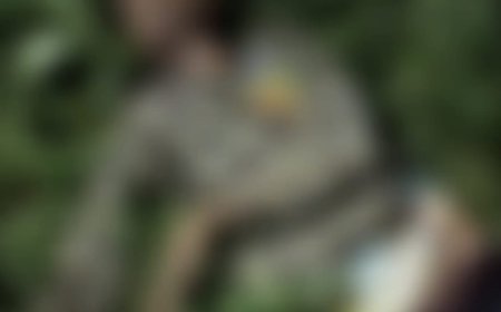 ഇടുക്കിയില്‍ വീണ്ടും ജീവനെടുത്ത് കാട്ടാനക്കലി: ശാന്തന്‍പാറ പേത്തൊട്ടിയില്‍ അതിഥി തൊഴിലാളിയെ കാട്ടാന ചവിട്ടിക്കൊന്നു