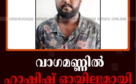വാഗമണ്ണില്‍ ഹാഷിഷ് ഓയിലുമായി യുവാവ് പിടിയില്‍