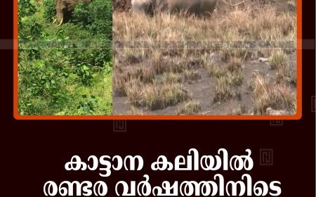 കാട്ടാന കലിയില്‍ രണ്ടര വര്‍ഷത്തിനിടെ പൊലിഞ്ഞത് 14 ജീവനുകള്‍ 