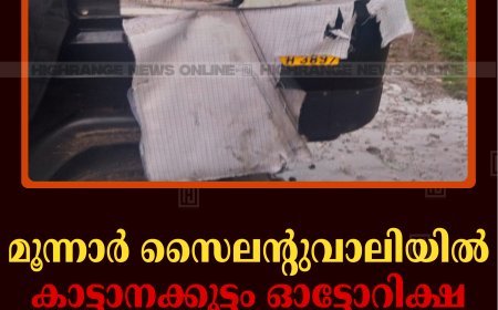 മൂന്നാര്‍ സൈലന്റുവാലിയില്‍ കാട്ടാനക്കൂട്ടം ഓട്ടോറിക്ഷ തകര്‍ത്തു