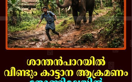 ശാന്തന്‍പാറയില്‍ വീണ്ടും കാട്ടാന ആക്രമണം: തോണ്ടിമലയില്‍ യുവാവിനെ അടിച്ചുവീഴ്ത്തി