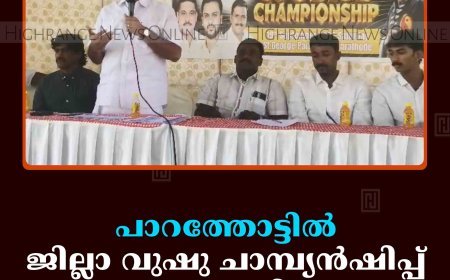 പാറത്തോട്ടില്‍ ജില്ലാ വുഷു ചാമ്പ്യന്‍ഷിപ്പ് നടത്തി