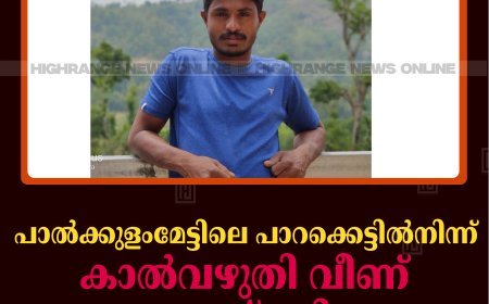 പാല്‍ക്കുളംമേട്ടിലെ പാറക്കെട്ടില്‍നിന്ന് കാല്‍വഴുതി വീണ് യുവാവ് മരിച്ചു