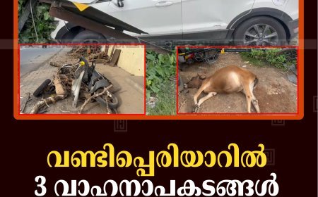 വണ്ടിപ്പെരിയാറില്‍ 3 വാഹനാപകടങ്ങള്‍: ഒരാള്‍ക്ക് പരിക്ക്