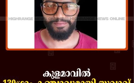 കുളമാവില്‍ 130ഗ്രാം കഞ്ചാവുമായി യുവാവ് പൊലീസ് പിടിയില്‍