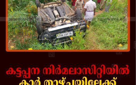 കട്ടപ്പന നിര്‍മലാസിറ്റിയില്‍ കാര്‍ താഴ്ചയിലേക്ക് മറിഞ്ഞ് അപകടം   