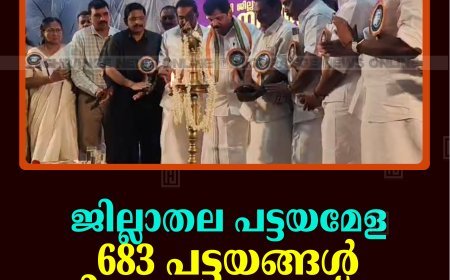 ജില്ലാതല പട്ടയമേള: 683 പട്ടയങ്ങള്‍ വിതരണം ചെയ്തു  